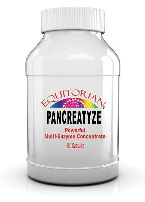 Pancreatyze